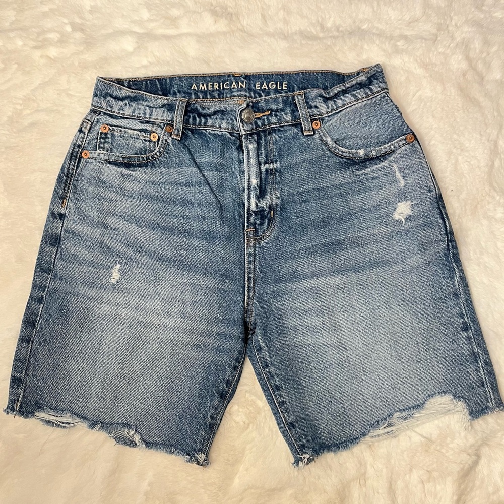 American Eagle Low Rise Baggy Short